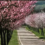 Pfaelzer Herzel Mit 2 Schlafzimmern Und Blick Ueber Rheinebene Kostenfreiem Parkplatz Und Wlan Fusslaeufig Zum Wald Und Den Weinbergen Weinkuehlschrank Broetchenservice Garten Mit Gasgrill * Neustadt an der Weinstraße
