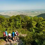 Pfaelzer Herzel Mit 2 Schlafzimmern Und Blick Ueber Rheinebene Kostenfreiem Parkplatz Und Wlan Fusslaeufig Zum Wald Und Den Weinbergen Weinkuehlschrank Broetchenservice Garten Mit Gasgrill * Neustadt an der Weinstraße