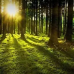 Pfaelzer Herzel Mit 2 Schlafzimmern Und Blick Ueber Rheinebene Kostenfreiem Parkplatz Und Wlan Fusslaeufig Zum Wald Und Den Weinbergen Weinkuehlschrank Broetchenservice Garten Mit Gasgrill Neustadt an der Weinstrasse