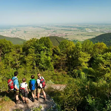 Pfaelzer Herzel Mit 2 Schlafzimmern Und Blick Ueber Rheinebene Kostenfreiem Parkplatz Und Wlan Fusslaeufig Zum Wald Und Den Weinbergen Weinkuehlschrank Broetchenservice Garten Mit Gasgrill * Neustadt an der Weinstraße