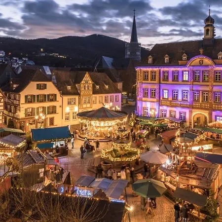 Pfaelzer Herzel Mit 2 Schlafzimmern Und Blick Ueber Rheinebene Kostenfreiem Parkplatz Und Wlan Fusslaeufig Zum Wald Und Den Weinbergen Weinkuehlschrank Broetchenservice Garten Mit Gasgrill Apartamento *