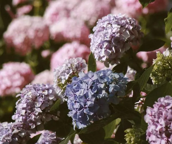 Apartamento Pfaelzer Herzel Mit 2 Schlafzimmern Und Blick Ueber Rheinebene Kostenfreiem Parkplatz Und Wlan Fusslaeufig Zum Wald Und Den Weinbergen Weinkuehlschrank Broetchenservice Garten Mit Gasgrill