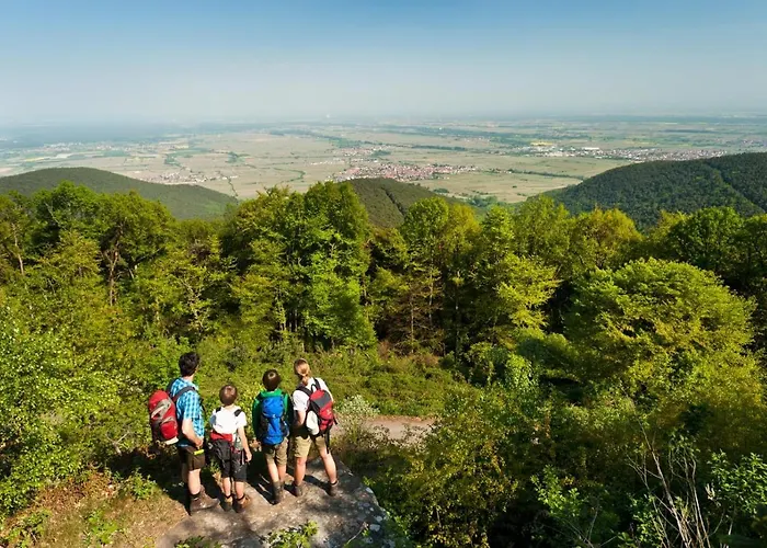 Pfaelzer Herzel Mit 2 Schlafzimmern Und Blick Ueber Rheinebene Kostenfreiem Parkplatz Und Wlan Fusslaeufig Zum Wald Und Den Weinbergen Weinkuehlschrank Broetchenservice Garten Mit Gasgrill * Neustadt an der Weinstraße