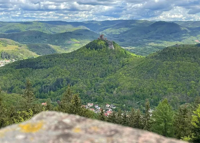 Pfaelzer Herzel Mit 2 Schlafzimmern Und Blick Ueber Rheinebene Kostenfreiem Parkplatz Und Wlan Fusslaeufig Zum Wald Und Den Weinbergen Weinkuehlschrank Broetchenservice Garten Mit Gasgrill דירה Neustadt an der Weinstraße