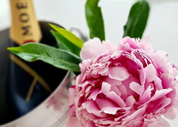 Apartamento Pfaelzer Herzel Mit 2 Schlafzimmern Und Blick Ueber Rheinebene Kostenfreiem Parkplatz Und Wlan Fusslaeufig Zum Wald Und Den Weinbergen Weinkuehlschrank Broetchenservice Garten Mit Gasgrill *